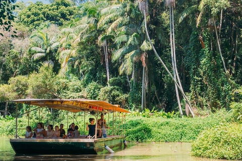 Tropical Fruit World Farm Full Tour - Lightning Ridge Tourism 0