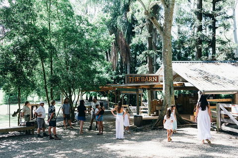 Tropical Fruit World Farm Full Tour - Lightning Ridge Tourism 3