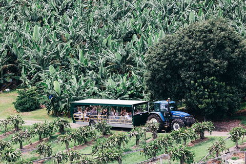 Tropical Fruit World Farm Full Tour - Lightning Ridge Tourism 5