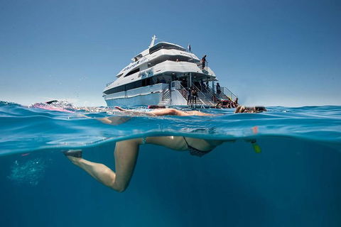 3 Day Great Barrier Reef, Daintree Rainforest And Outback Chillagoe Tour - Lightning Ridge Tourism 0