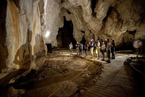 3 Day Great Barrier Reef, Daintree Rainforest And Outback Chillagoe Tour - Lightning Ridge Tourism 1