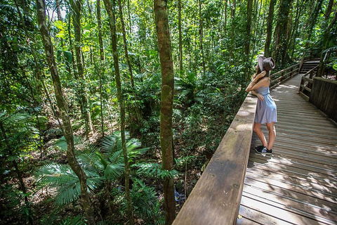 3 Day Great Barrier Reef, Daintree Rainforest And Outback Chillagoe Tour - Lightning Ridge Tourism 3