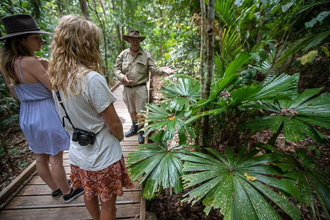 2 Day Daintree Rainforest, Cape Tribulation And Outback Chillagoe Tour - Lightning Ridge Tourism 2
