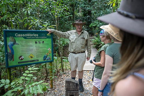 2 Day Daintree Rainforest, Cape Tribulation And Outback Chillagoe Tour - Lightning Ridge Tourism 5