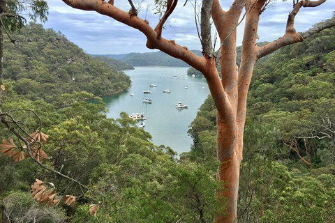 Shore Excursion: Sydney's Northern Beaches & Ku-ring-gai National Park Bus Tour - Lightning Ridge Tourism 1