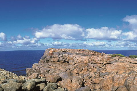 4 Day Tour: Albany, Margaret River, Valley Of The Giants TreeTop Walk From Perth - Lightning Ridge Tourism 0