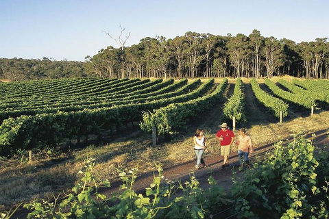 2-Day Margaret River Wine Experience From Perth - Lightning Ridge Tourism 3