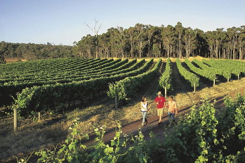 Margaret River, Caves, Wine And Cape Leeuwin Lighthouse Tour From Perth - Lightning Ridge Tourism 1