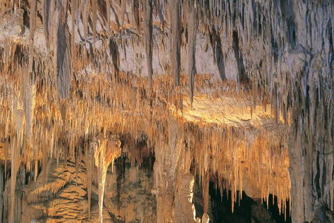Margaret River, Caves, Wine And Cape Leeuwin Lighthouse Tour From Perth - Lightning Ridge Tourism 3