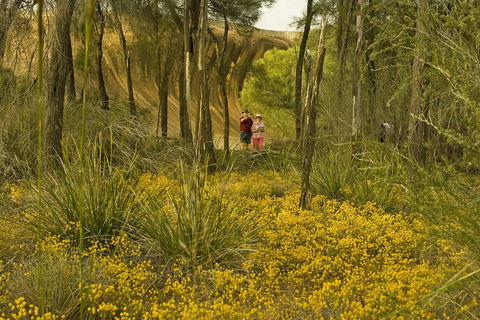 2-Day Wave Rock, York, Wildflowers & Aboriginal Experience - Lightning Ridge Tourism 2