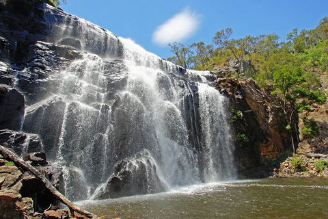 Grampians National Park Small-Group Eco Tour From Melbourne - Lightning Ridge Tourism 0