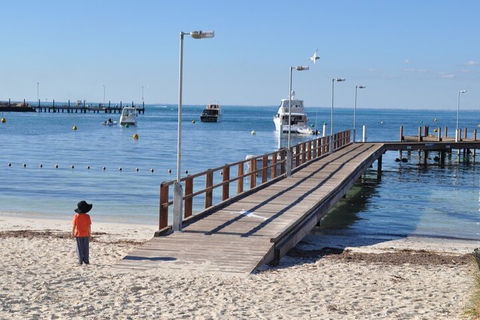 Monkey Mia Dolphins & Shark Bay Air Tour From Perth - Lightning Ridge Tourism 0