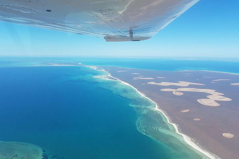 Monkey Mia Dolphins & Shark Bay Air Tour From Perth - Lightning Ridge Tourism 2