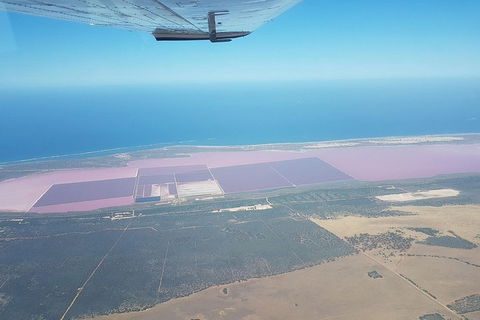 Monkey Mia Dolphins & Shark Bay Air Tour From Perth - Lightning Ridge Tourism 5