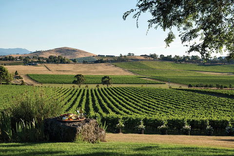 Small Group 6 Guests: Ultimate Yarra Valley Food And Wine - Mercedes Van - Lightning Ridge Tourism 4