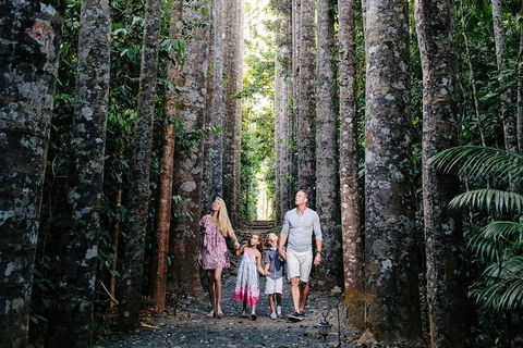 The Original Day Tour To Paronella Park, Lake Barrine And Millaa Millaa Falls - Lightning Ridge Tourism 1