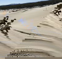 Port Stephens Bush Beach and Sand Dune 4WD Tag-Along Tour - Lightning Ridge Tourism
