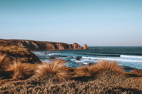Private Phillip Island & Penguin Parade Hiking Tour From Melbourne - Lightning Ridge Tourism 0