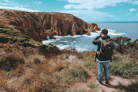 Private Phillip Island & Penguin Parade Hiking Tour From Melbourne - Lightning Ridge Tourism 5