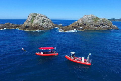 3-Hour Byron Bay Certified Scuba Diving Tour - Lightning Ridge Tourism 0
