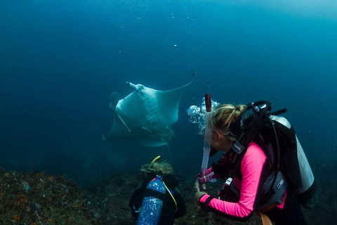 3-Hour Byron Bay Certified Scuba Diving Tour - Lightning Ridge Tourism 2