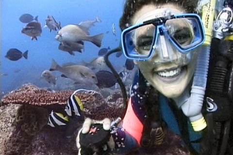3-Hour Byron Bay Certified Scuba Diving Tour - Lightning Ridge Tourism 5