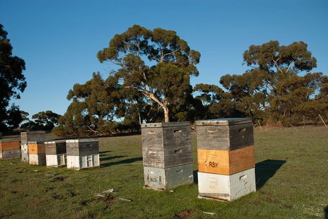 Fine Flavours - Full Day Kangaroo Island Food & Wine Tour - Lightning Ridge Tourism 1