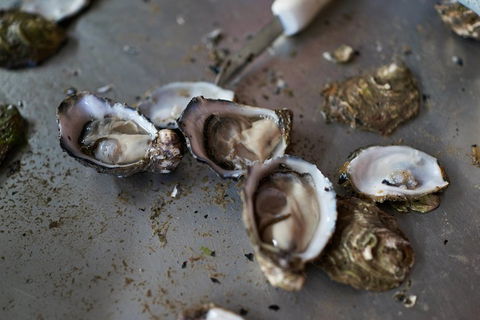 Fine Flavours - Full Day Kangaroo Island Food & Wine Tour - Lightning Ridge Tourism 2