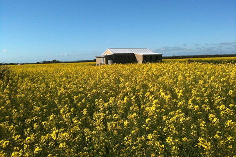 Fine Flavours - Full Day Kangaroo Island Food & Wine Tour - Lightning Ridge Tourism 3