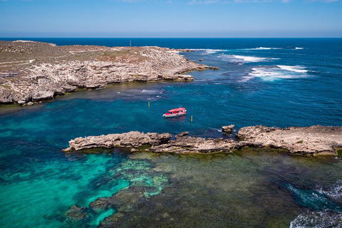 Adventure Rottnest Tour With Ferry & Adventure Cruise From Perth Or Fremantle - Lightning Ridge Tourism 3