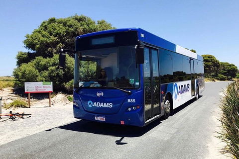 Rottnest Bayseeker Bus Tour From Hillarys Boat Harbour - Lightning Ridge Tourism 0