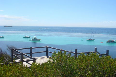 Rottnest Bayseeker Bus Tour From Hillarys Boat Harbour - Lightning Ridge Tourism 3