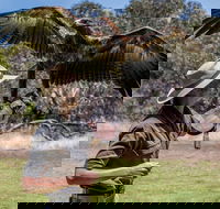 One Day Kangaroo Island Sip  See tour with return ferry transfers from Adelaide - Lightning Ridge Tourism