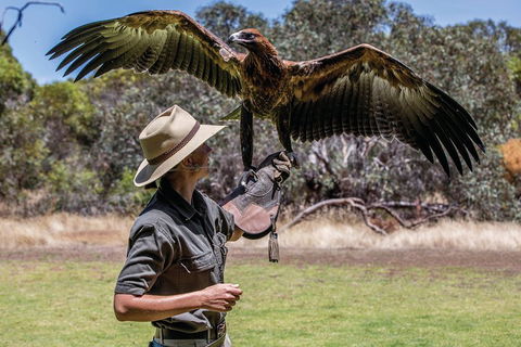 One Day Kangaroo Island Sip & See Tour With Return Ferry Transfers From Adelaide - Lightning Ridge Tourism 0