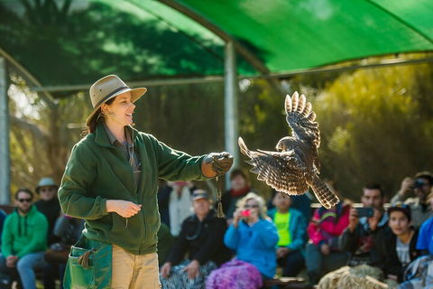 One Day Kangaroo Island Sip & See Tour With Return Ferry Transfers From Adelaide - Lightning Ridge Tourism 3