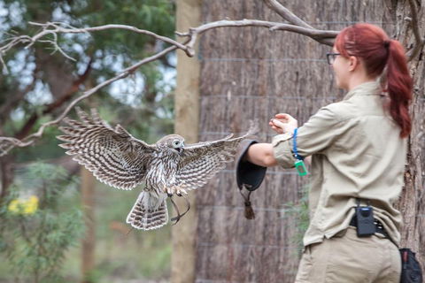 Moonlit Sanctuary Wildlife Conservation Park Daytime General Entry Ticket - Lightning Ridge Tourism 1
