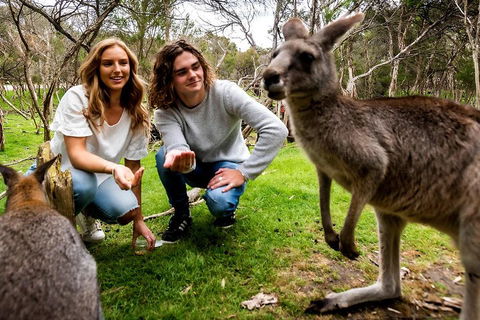 Moonlit Sanctuary Wildlife Conservation Park Daytime General Entry Ticket - Lightning Ridge Tourism 2