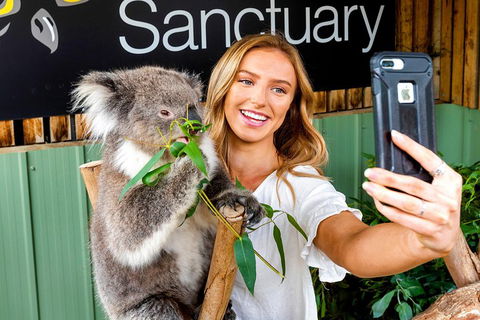 Moonlit Sanctuary Wildlife Conservation Park Daytime General Entry Ticket - Lightning Ridge Tourism 4