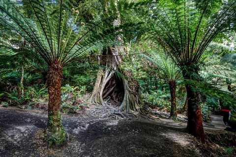 Adelaide To Melbourne 3-Day Trip Through Grampians And Great Ocean Road - Lightning Ridge Tourism 0