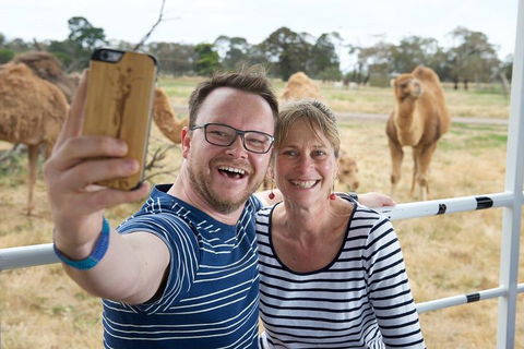 Off-Road Safari At Werribee Open Range Zoo - Lightning Ridge Tourism 1