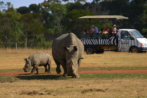 Off-Road Safari At Werribee Open Range Zoo - Lightning Ridge Tourism 5