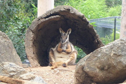 Featherdale Wildlife Park General Admission - Lightning Ridge Tourism 2