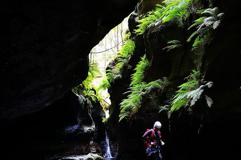 Full-Day Canyoning Experience At Stunning Empress Canyon - Lightning Ridge Tourism 2