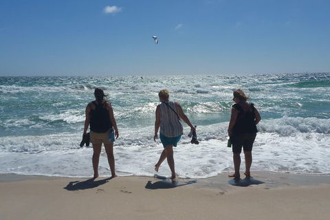 Very Best Of Perth Tour - Wildlife Park & City Highlights Tour - Lightning Ridge Tourism 5