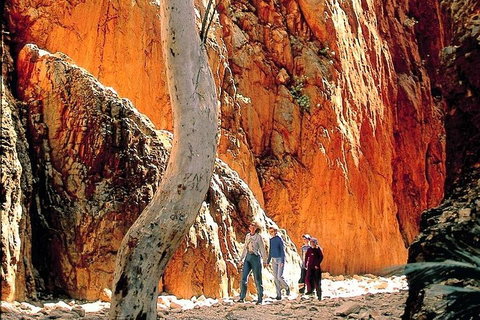 West MacDonnell Ranges Day Trip From Alice Springs - Lightning Ridge Tourism 3