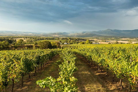 Yarra Valley Local Produce And Wine Tasting Tour - Lightning Ridge Tourism 3