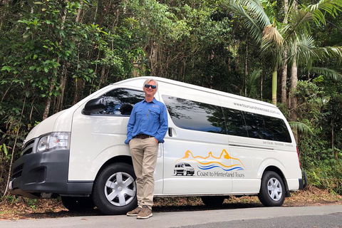 Sunshine Coast Hinterland Rainforest, Views And Montville Day Tour Inc. Lunch - Lightning Ridge Tourism 1