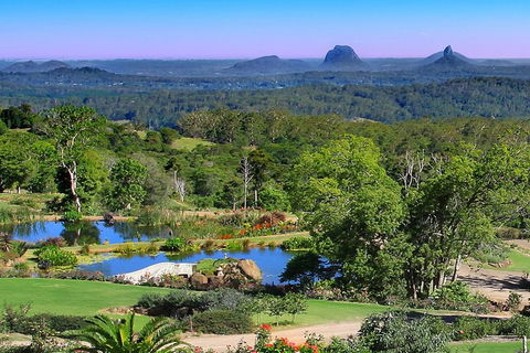 Sunshine Coast Hinterland Rainforest, Views And Montville Day Tour Inc. Lunch - Lightning Ridge Tourism 5