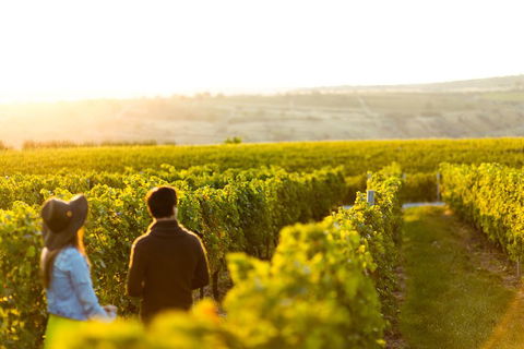 Margaret River Private Tour - Lightning Ridge Tourism 2