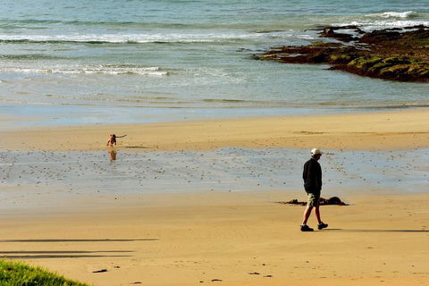 Ultimate Reverse Direction - 12 Apostles, Great Ocean Road - Small Group Tour - Lightning Ridge Tourism 1